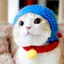 ねこたけのプロフィール画像