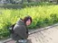 ささかまのプロフィール画像
