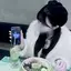 梨音のプロフィール画像