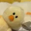 ひよこのプロフィール画像