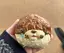 ほのかのプロフィール画像