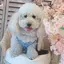mimiのプロフィール画像