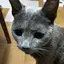 LOUISのプロフィール画像