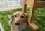 テディのプロフィール画像