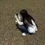 しおのプロフィール画像