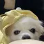 ちか0105のプロフィール画像