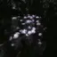 ∗*ﾟのプロフィール画像