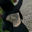 王のプロフィール画像