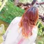 shuuchiのプロフィール画像