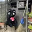さぁのプロフィール画像