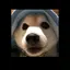 はなちゃんのプロフィール画像