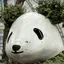 ヤマグチのプロフィール画像