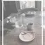 なぎのプロフィール画像
