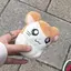 ちゃんのプロフィール画像