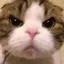 あーたのプロフィール画像