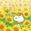 mahiのプロフィール画像