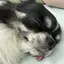 みちゅのプロフィール画像