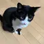 Ayanoのプロフィール画像
