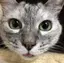 うにのプロフィール画像