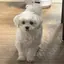 あやのプロフィール画像