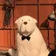 nanaのプロフィール画像