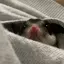 うみのプロフィール画像