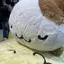 まるのプロフィール画像