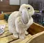ユリポンのプロフィール画像