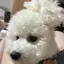 さっちゃんのプロフィール画像