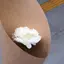 さのプロフィール画像