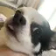 AIのプロフィール画像