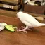 ばんてうのプロフィール画像