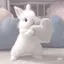 ♡のプロフィール画像