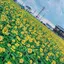 MAIのプロフィール画像