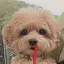 S.Kのプロフィール画像