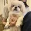 ナナのプロフィール画像
