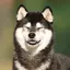 颯祐のプロフィール画像