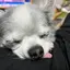 みおのプロフィール画像
