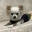 ミナのプロフィール画像