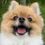 ﾆｲﾅのプロフィール画像