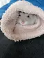 ハムの助のプロフィール画像