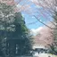 あちゃんのプロフィール画像