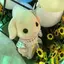 🌸のプロフィール画像