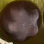 もずくのプロフィール画像