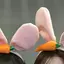 エリのプロフィール画像