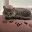 あやのプロフィール画像