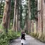 うめのプロフィール画像
