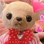 ゆいゆいε♡зのプロフィール画像
