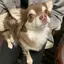 yuiのプロフィール画像