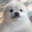 ⟡.·のプロフィール画像